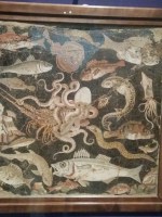 thumb_IMG_20150610_110548_1024