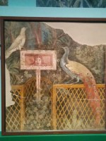 thumb_IMG_20150610_111123_1024