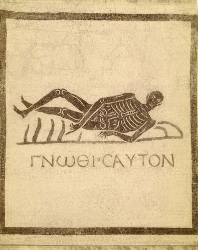 skeletongnothi